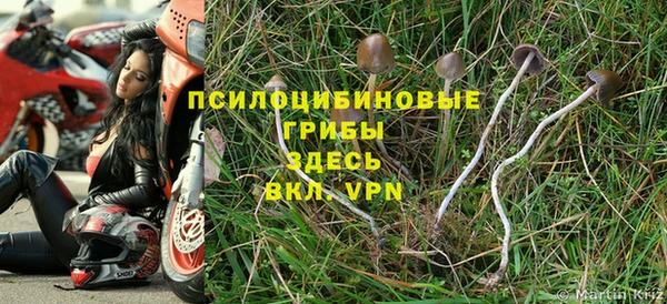 трава Абаза