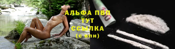 MESCALINE Новодвинск