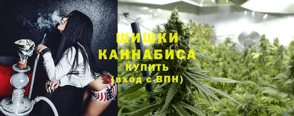 трава Абаза